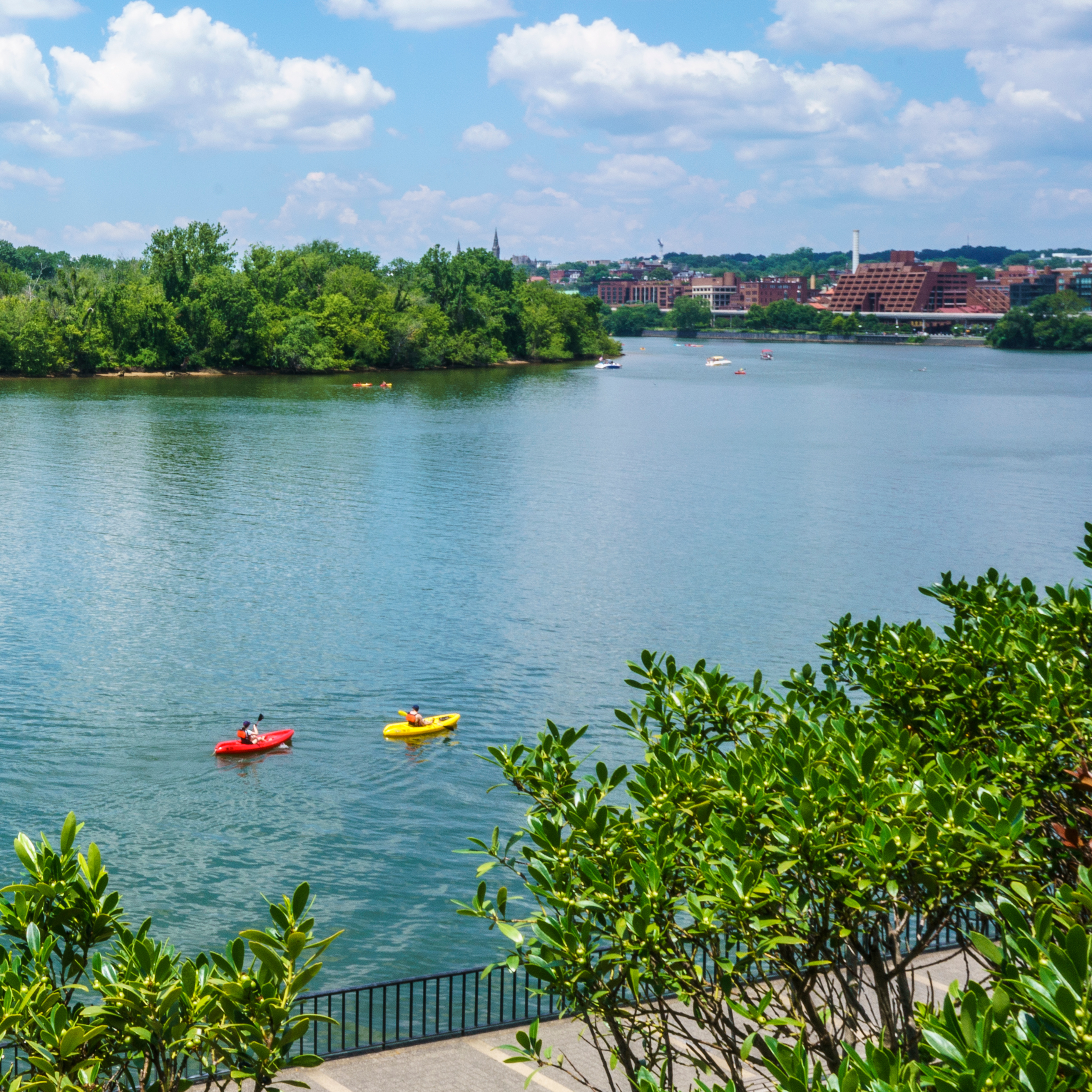 Waterfront Kayaking
